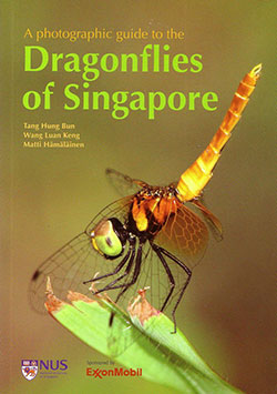 a-photographic-guide-to-the-dragonflies-of-singapore
