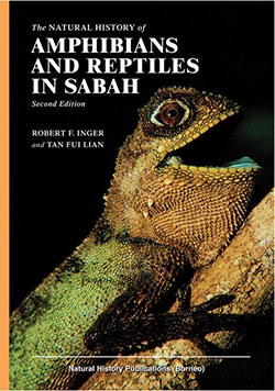 amphibians-&-reptiles-in-sabah