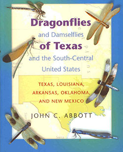 dragonflies-and-damselflies-of-texas-and-south-central-usa