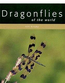 dragonflies-of-world