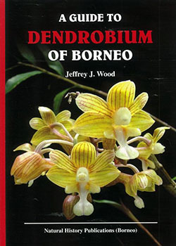 guide-to-dendrobium-of-borneo