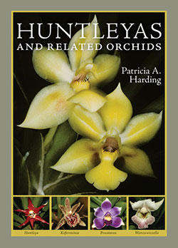 huntleyas-&-related-orchids