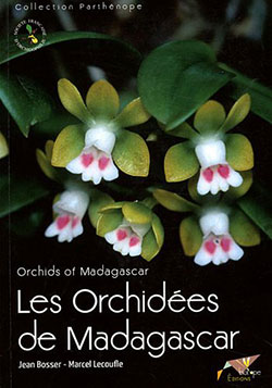 les-orchidees-de-madagascar