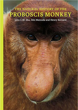 natural-history-of-the-proboscis-monkey