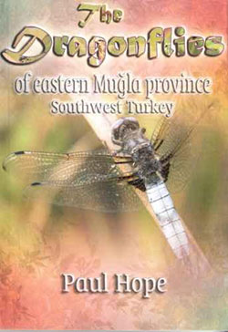The-Dragonflies-of-Eastern-Mugla-Province,-Southwest-Turkey