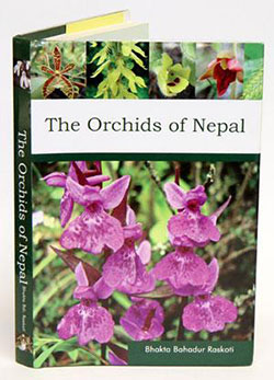 orchids-of-nepal