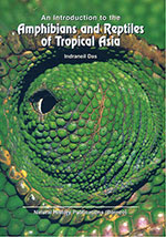 Amphibians-and-Reptiles-of-Tropical-Asia