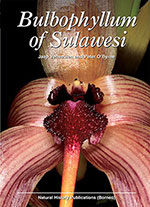 Bulbophyllum of Sulawsesi By Jaap Vermeulen and Peter O’Byrne (2011)