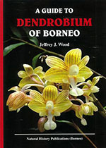 guide-to-dendrobium-of-borneo