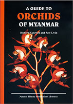 orchids-of-myanmar