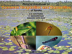 pictorial-handbook-on-common-dragonflies-and-damselflies-of-kerala